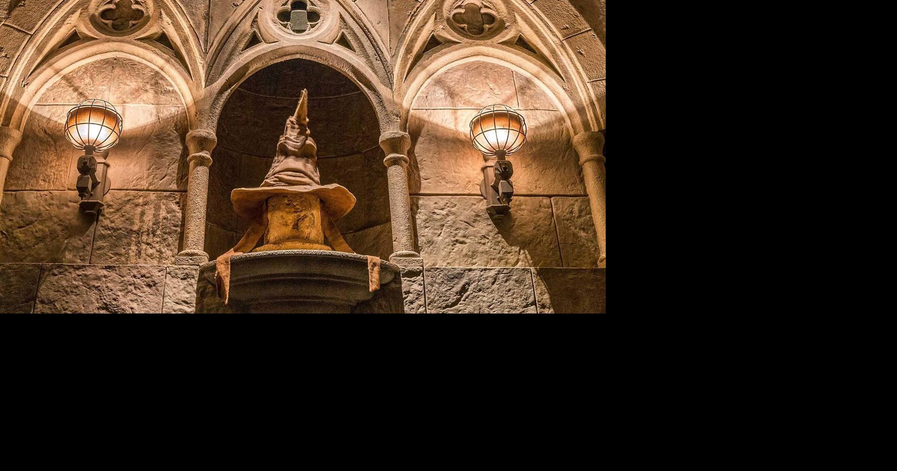 A Wizards Christmas Extravaganza Menu 2022 'A Wizard's Christmas' Inspired By Harry Potter Planned At The Louisville  Zoo | Community | Wdrb.com