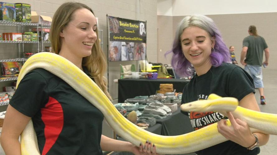 snake at reptile show.jpeg