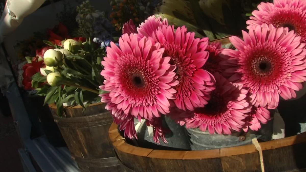 Florist On Four Wheels Spreading Joy Around Louisville News - flowers blox piece