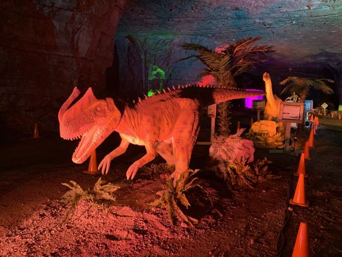 DINO SAFARI - MEGA CAVERNS 4-13-2021  (5).jpg