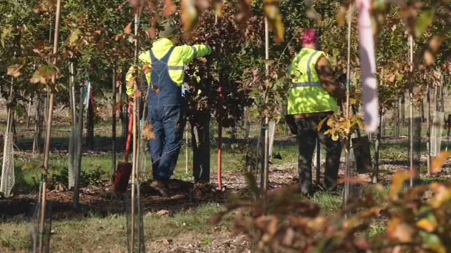 Louisville Parks and Recreation