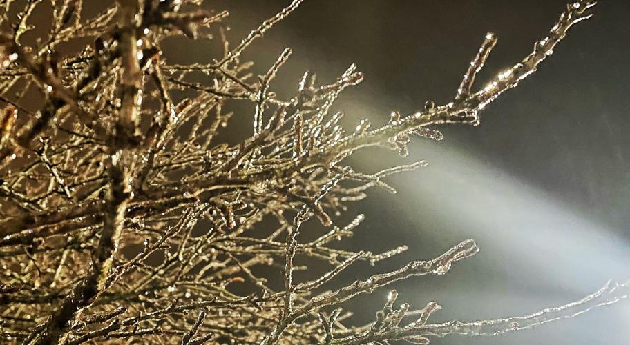 ICE STORM 2-3-2022 - FRENCH LICK 3 .jfif