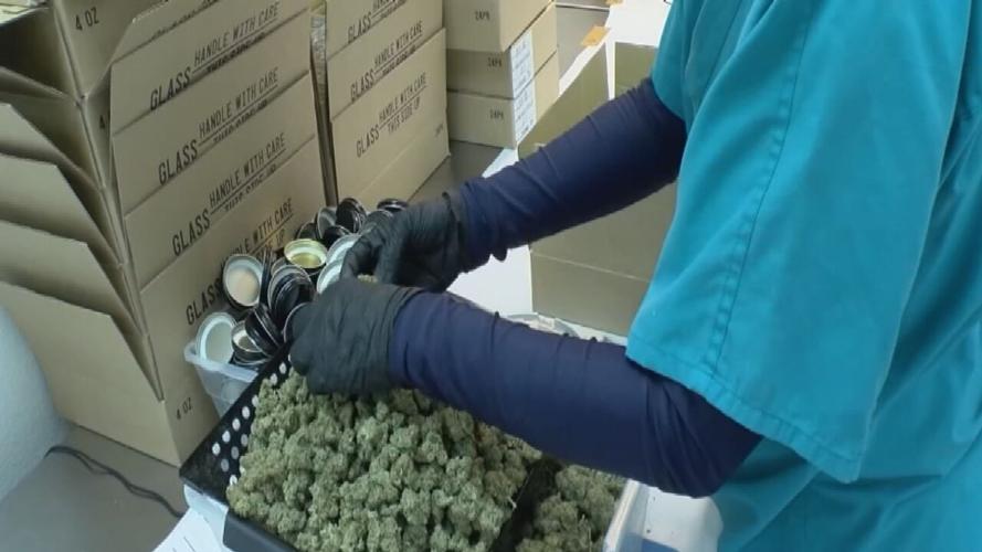 MEDICAL MARIJUANA LOTTERY.transfer_frame_1081.jpeg