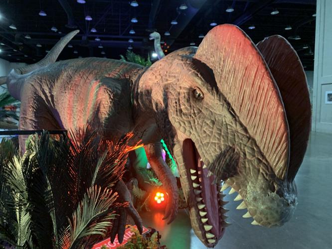 Dino and Dragon Stroll (5).JPG