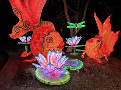 Louisville Zoo Wild Lights