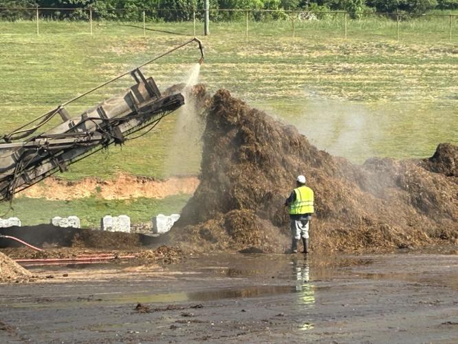 horse manure to mushroom farm 1