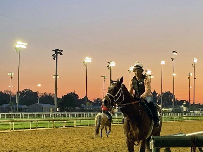 Horses training on the Churchill Downs Backside on May 2, 2022