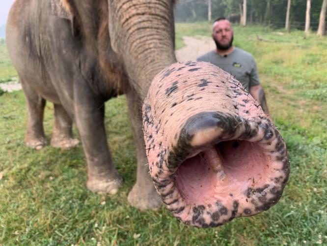 Wilstem Wildlife Park