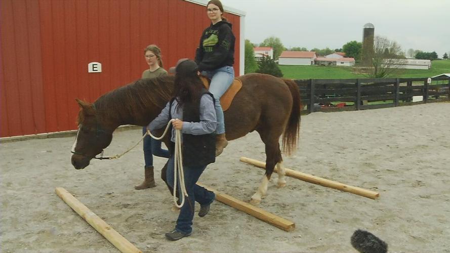 Veteran's Club Inc. holds 1st Military Child Equine Therapy event of 2021