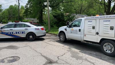 LMPD cruiser and LMAS truck