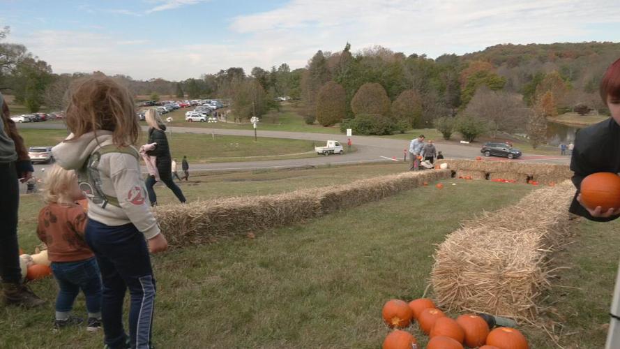 BERNHEIM COLORFEST (2).jpeg