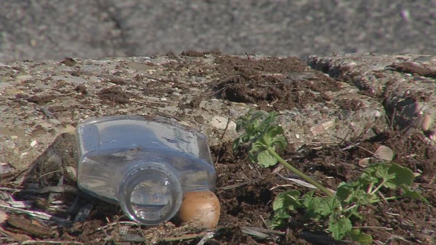 "Greatest Cleanup in West End History" 11/28/20