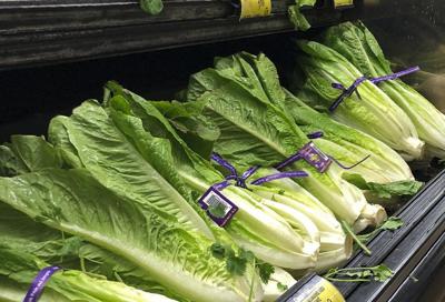 ROMAINE LETTUCE - RECALL - AP FILE.jpeg