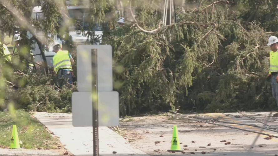 LG&E crew works to remove trees in Jeffersontown