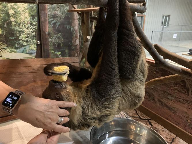 Wilstem Wildlife Park (70).JPG