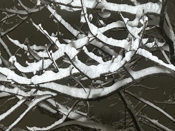 Snow in Clifton Heights1.jpg