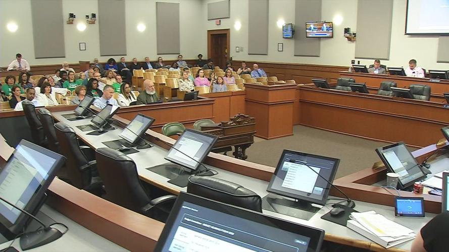Louisville Metro Council Budget Committee hearing, June 3, 2019