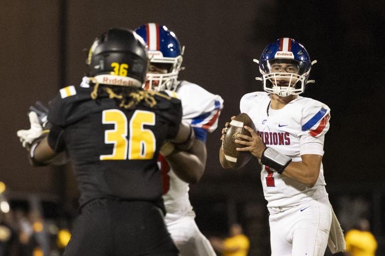 Shchuka_20241018_CAL_Central_331.jpg