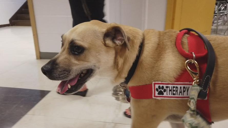 Pleasant Ridge Park High School eases student stress with newest addition