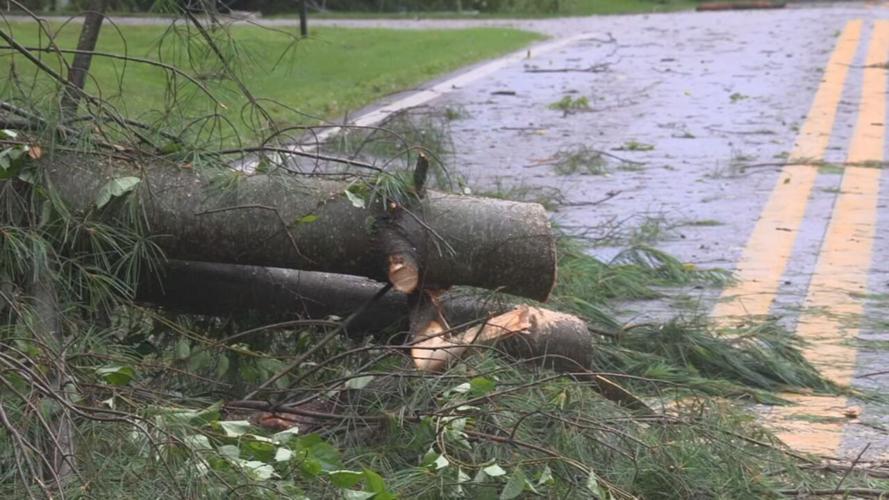 Tree down in Goshen, Kentucky