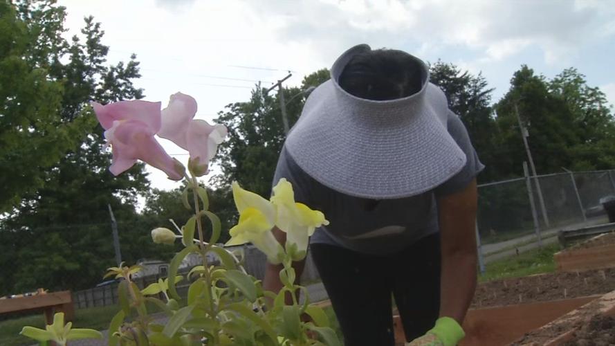 Eastern Star Baptist Church community garden