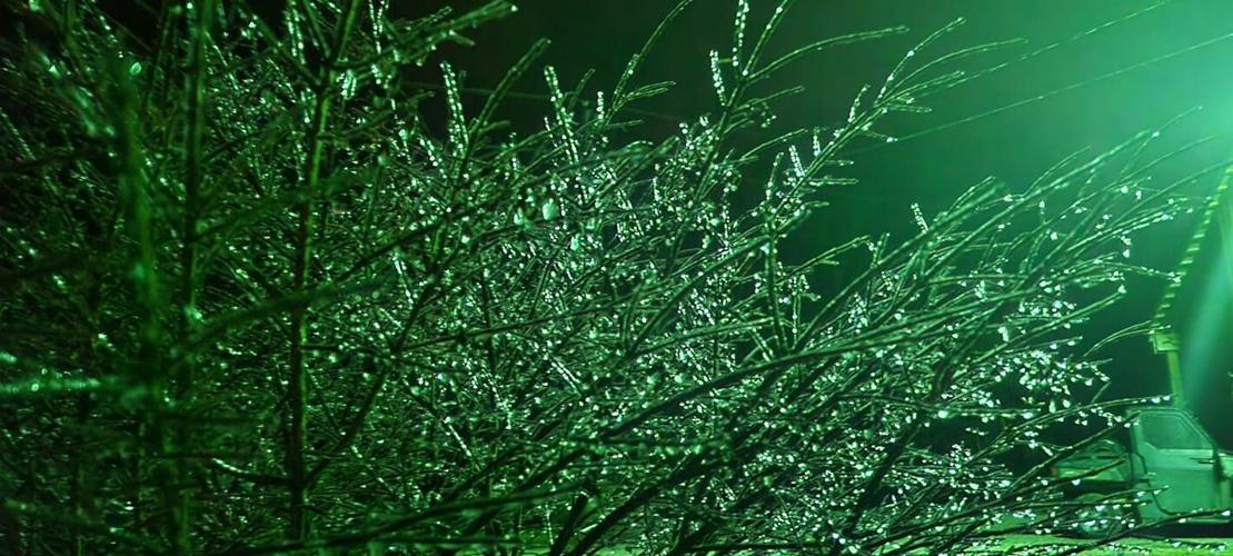 ICE STORM 2-3-2022 - Milltown, Indiana  Leisa Curl Line.jfif