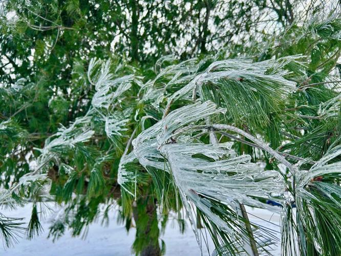 Ice in Grayson County