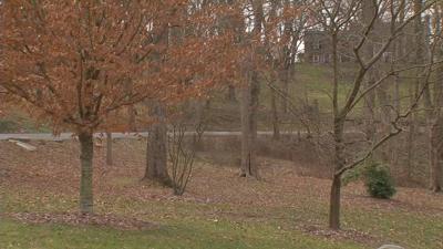 Cherokee Park