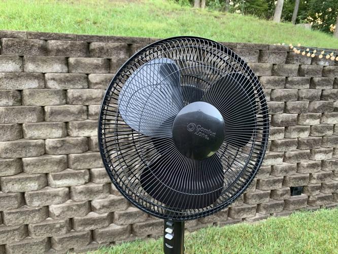 MOSQUITO ABATEMENT - KEITH KAISER - 6-25-19  (7).jpg