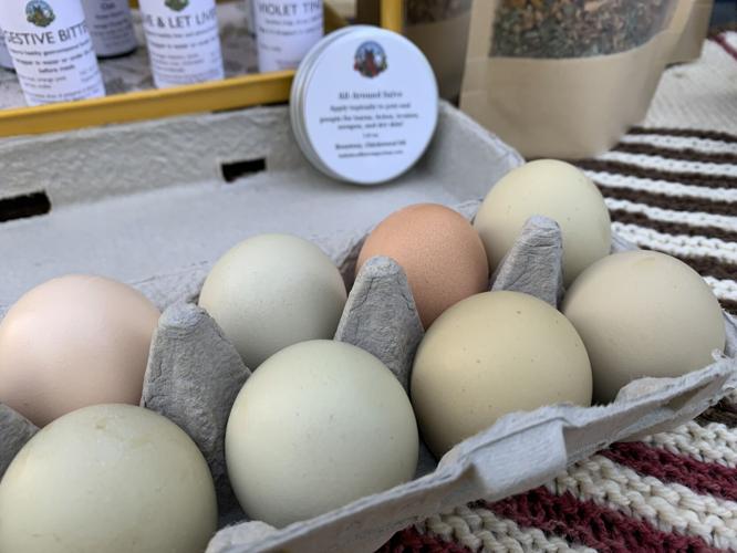 Gardeners' Fair (24).JPG