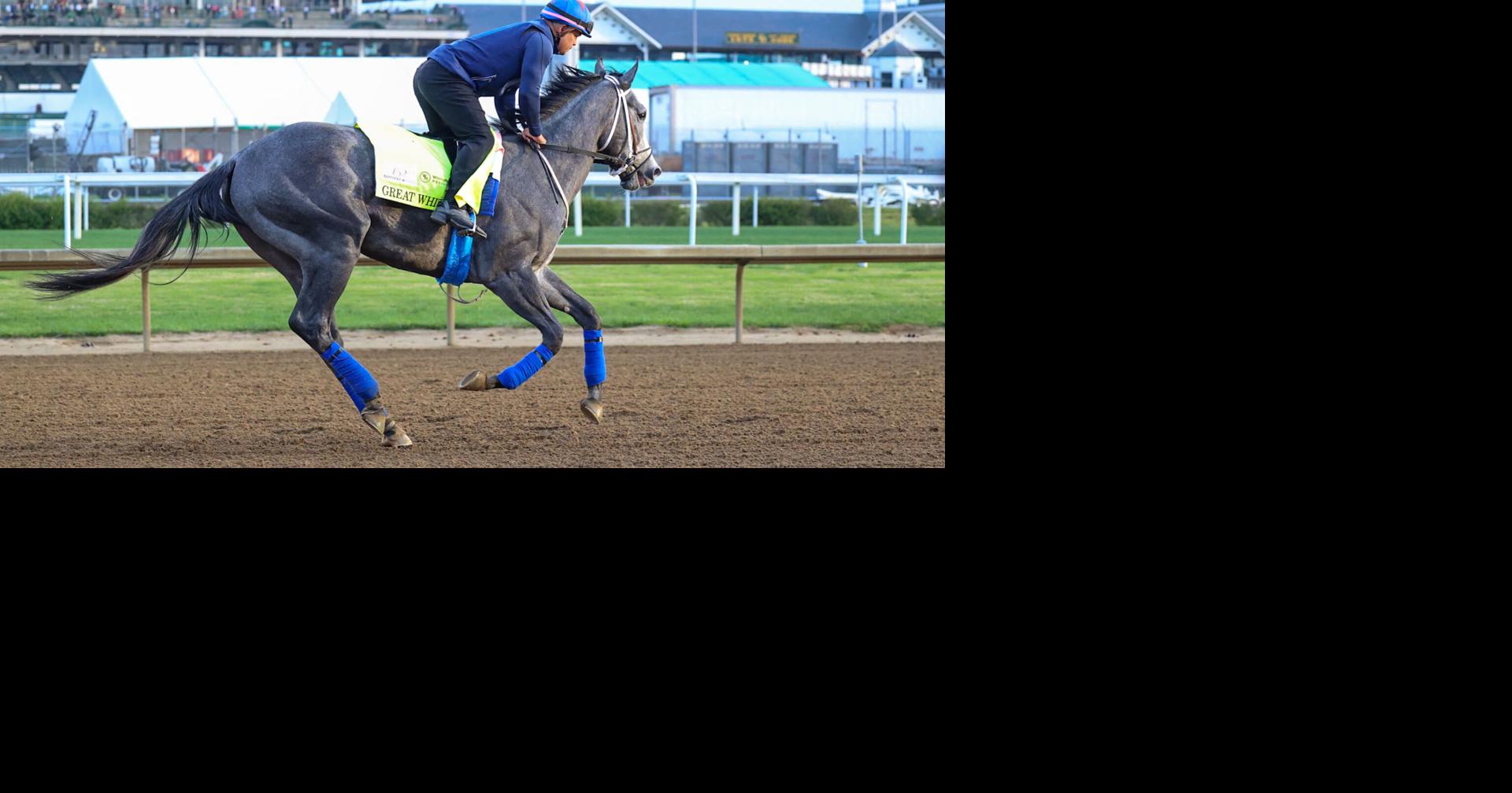 Read moreGreat White is fine after throwing his jockey and getting scratched late from the Kentucky Derby