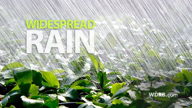 Wide Spread Rain 2.jpg
