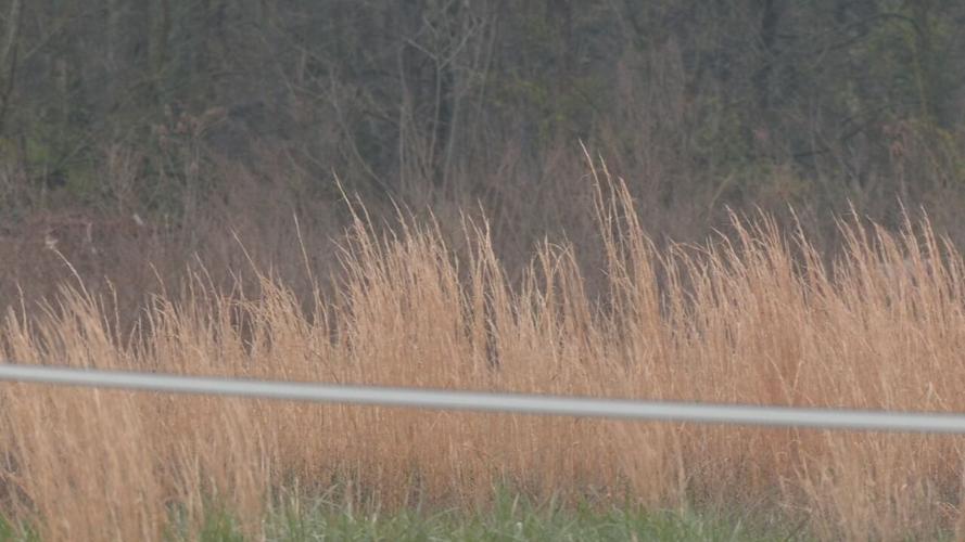 Gate of Hope Ministries plans to purchase several acres of lane off Lees Lane in Louisville.