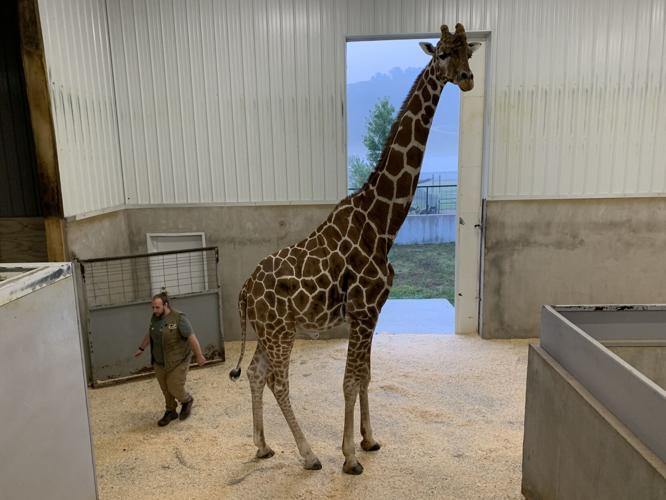 Wilstem Wildlife Park