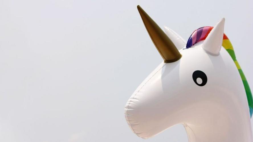 Unicorn Inflatable