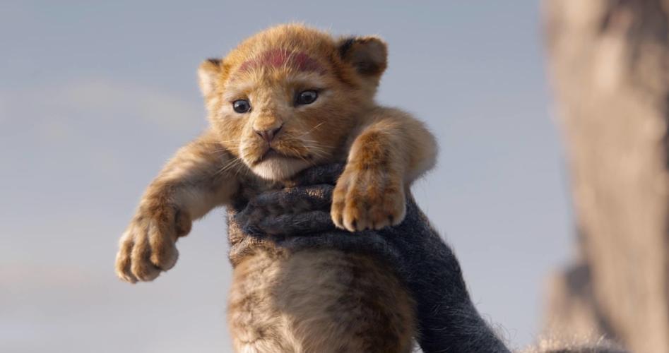 LION KING - COURTESY DISNEY THE LION KING ON FACEBOOK 2.jpg