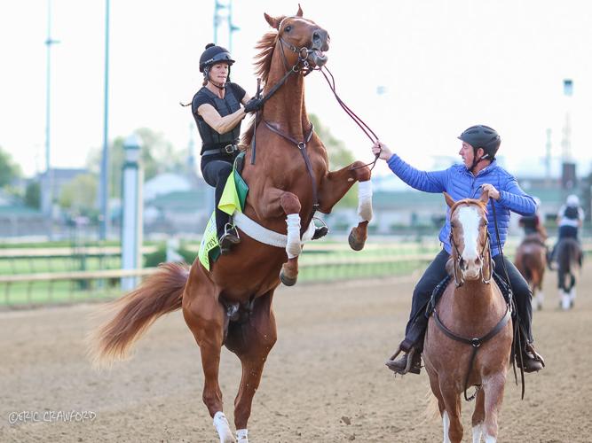 Training - Country House rears up