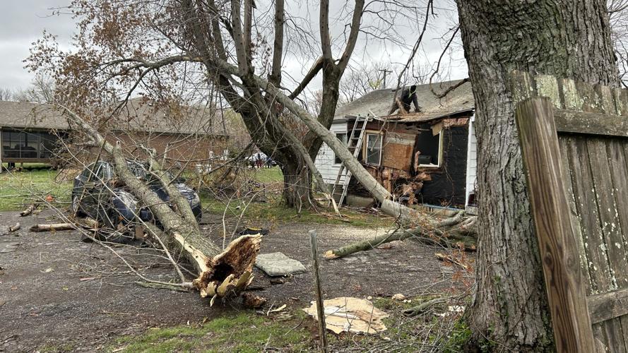 Storm Damage on Mitchell Hill Road in Fairdale