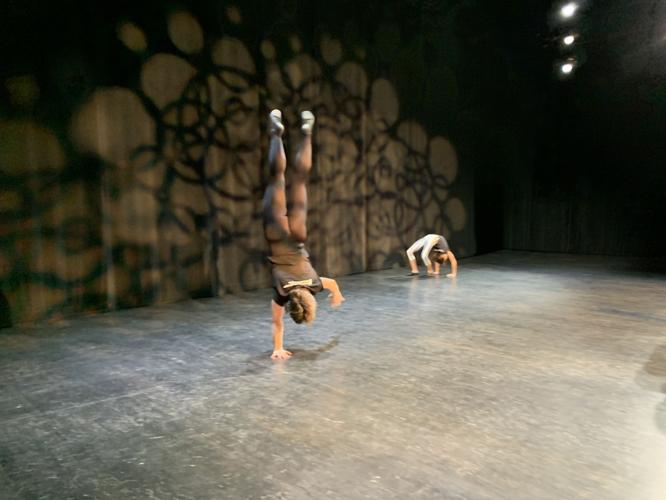 CirqueLouis 2019 one-handed handstand.jpeg