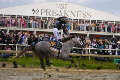 Preakness - Seize the Day 5-18-2024