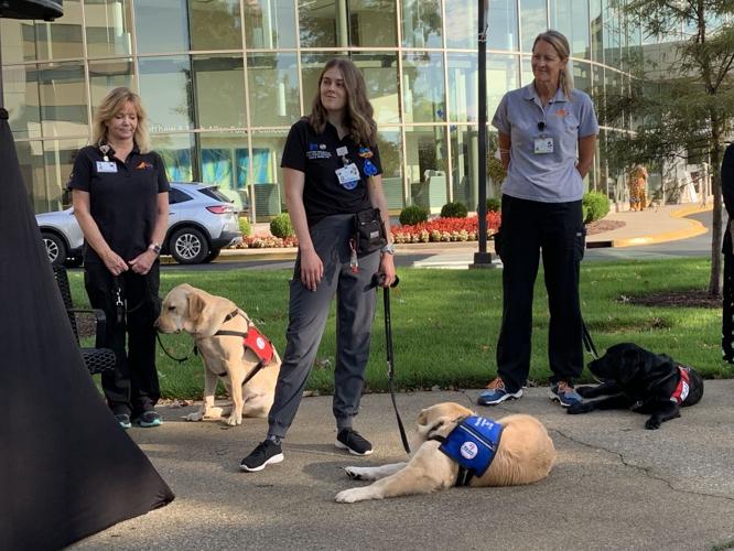 NORTON HEALTHCARE - FACILITY DOG 10-14-2021  (6).JPG
