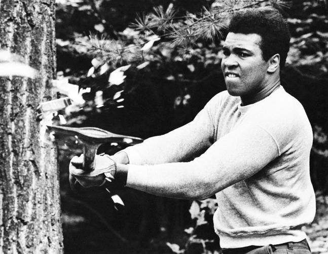 Muhammad Ali chops at a tree with an axe