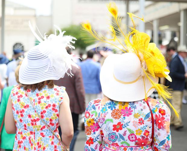 Derby hats walk away from camera.JPG