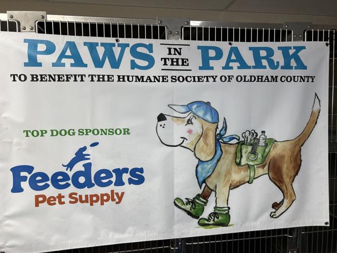 Paws in the Park