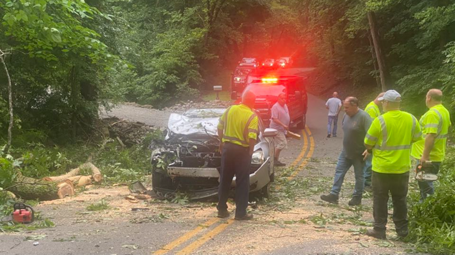 Tree on car near Taylorsville