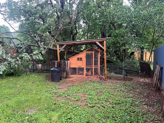 Storm damage in Fern Creek.jpg