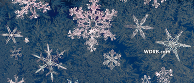 Snow Shapes