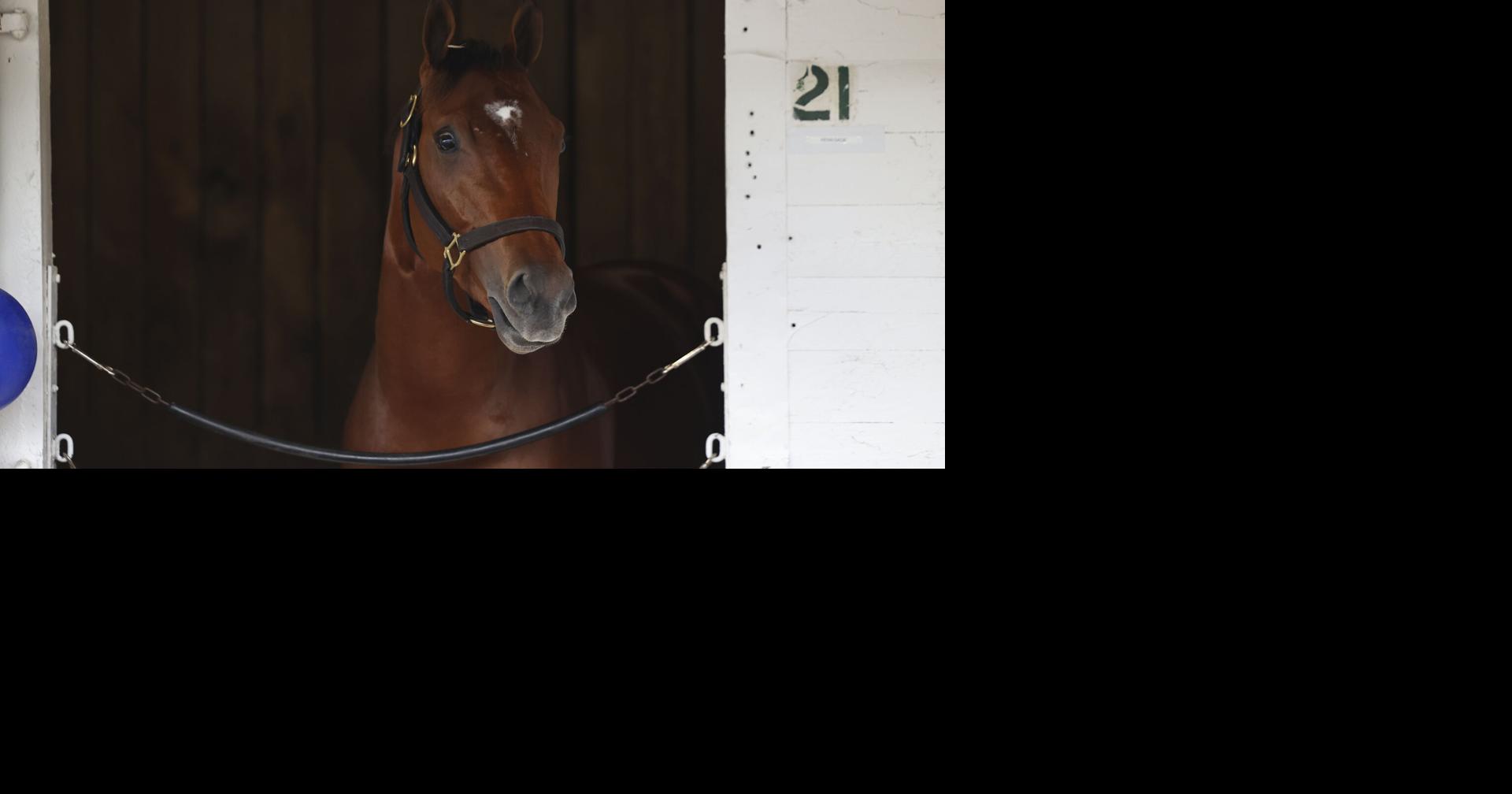 CRAWFORD | Favorite Renegade draws No. 1 post for Kentucky Derby. Now we see what he's made of