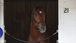 CRAWFORD | Favorite Renegade draws No. 1 post for Kentucky Derby. Now we see what he's made of