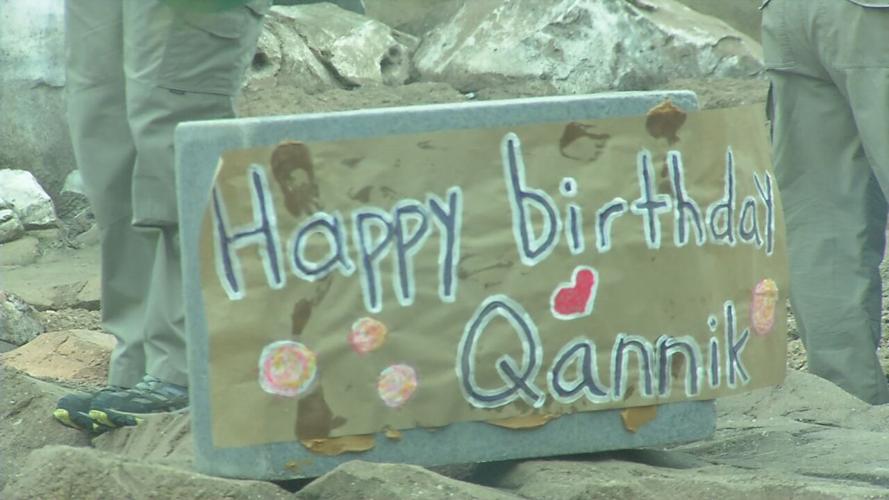 QANNIK POLAR BEAR BIRTHDAY.jpeg